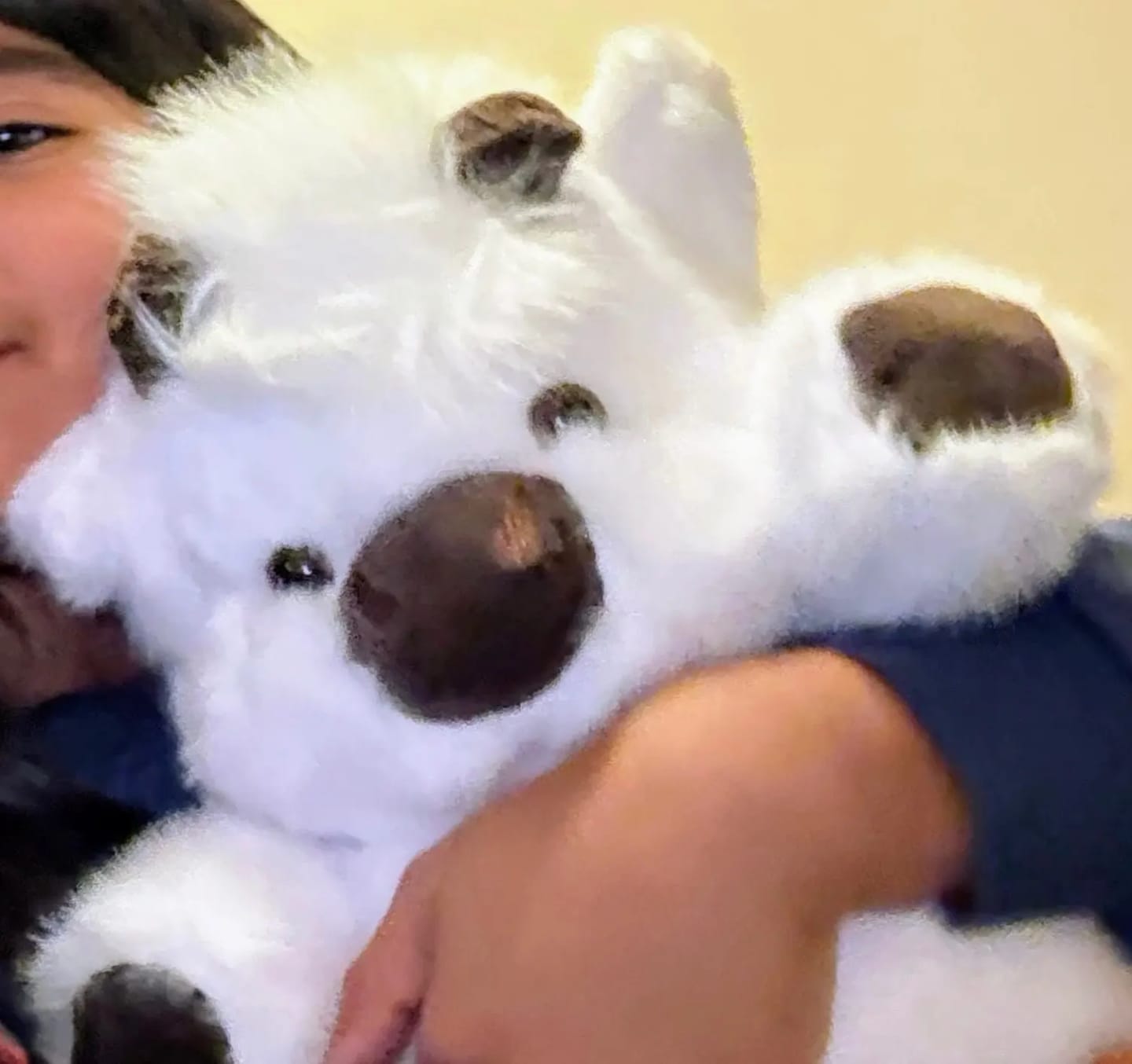 Customer photo review of Peluche Corredor Pluvie™