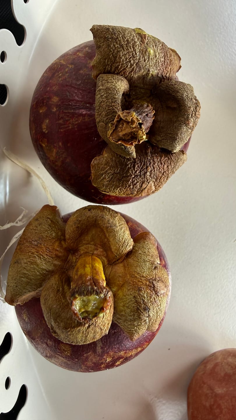 Customer photo review of Mangostan (Mangosteen) Sommeraktion %