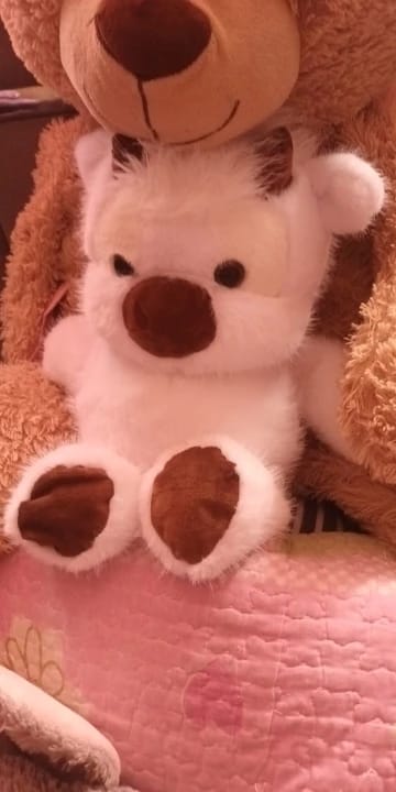 Customer photo review of Peluche Corredor Pluvie™