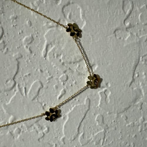 Customer photo review of Custom Paw Name Necklace – Separate Paws