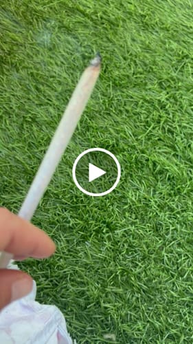 Customer video review of CALI MIX AAA+ – Premium Selection