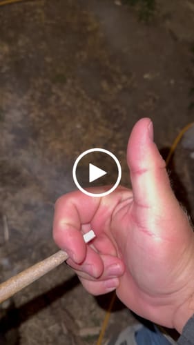 Customer video review of THC-A 25% Flower Cali Supreme