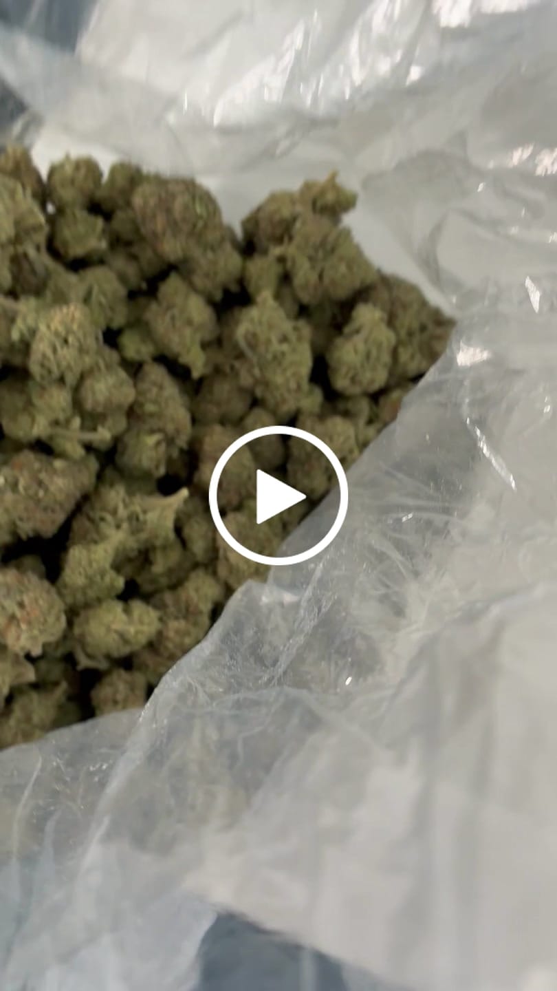 Customer video review of Kinglato Light Assist THCA