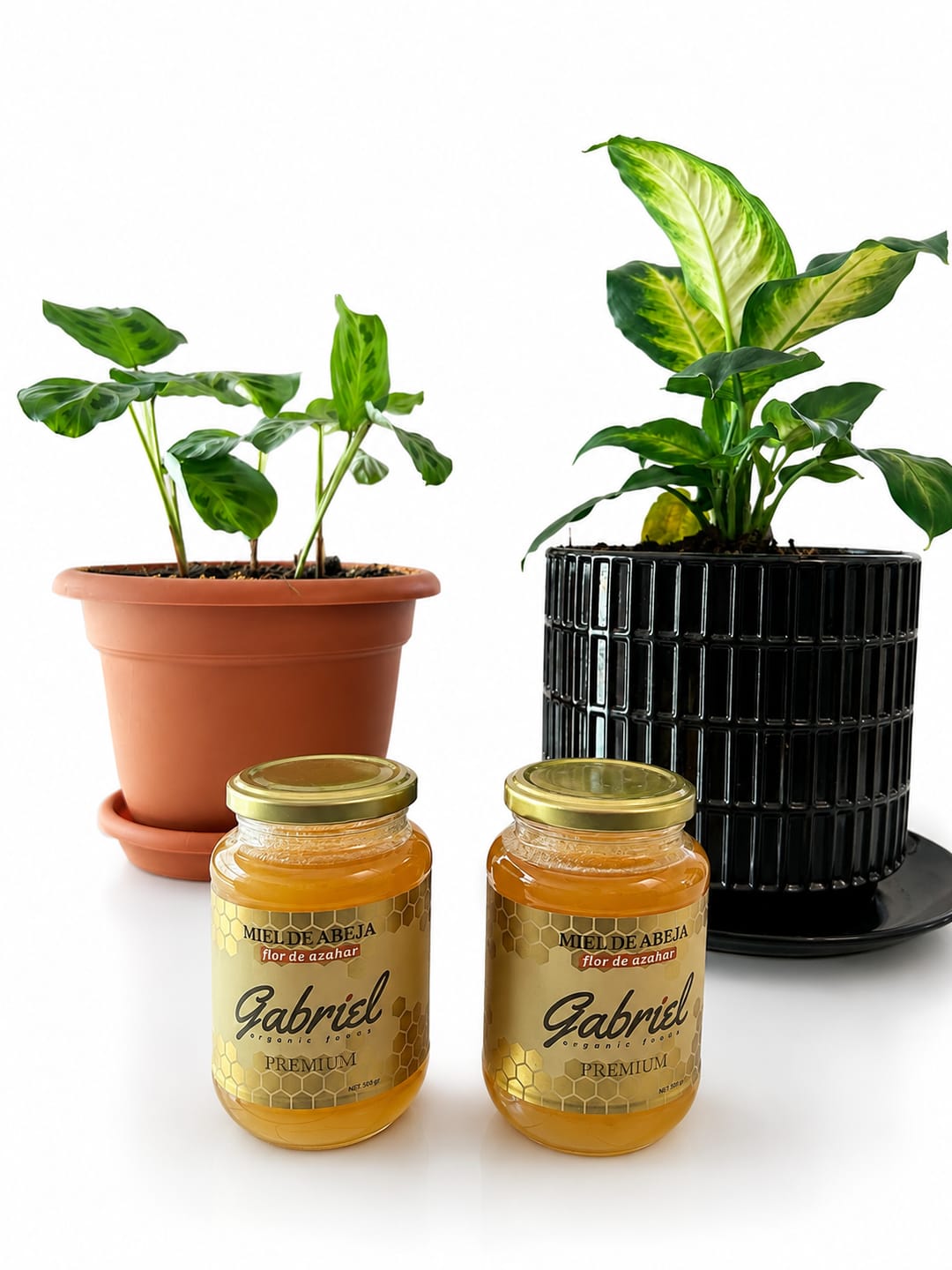 Customer photo review of Miel de Abeja 100% Pura de Flor de Azahar (500 g)