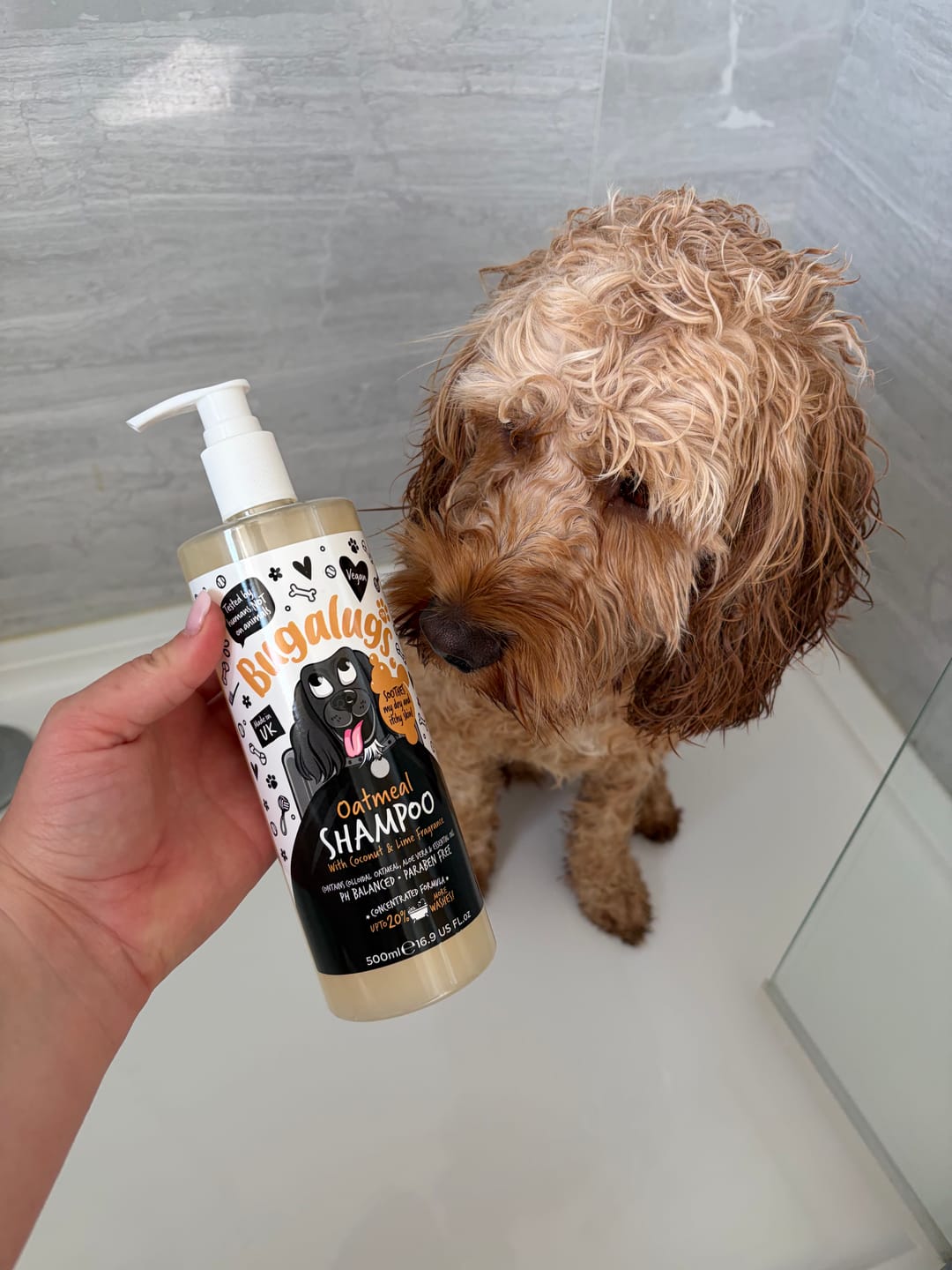 Customer photo review of Oatmeal Dog Shampoo with Coconut & Lime Fragrance