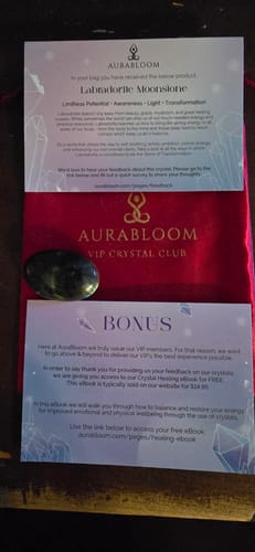 Customer's VIP Crystal Club Labradorite Moonstone stone, red pouch, and two informational cards.