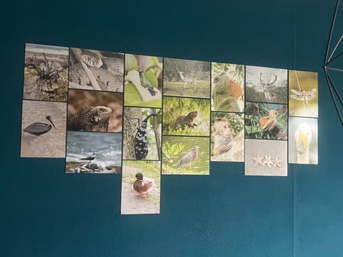 Customer photo review of Aluminium plaat 15x20cm voor sublimatie