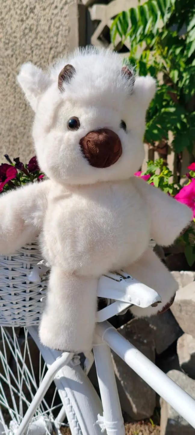 Customer photo review of Peluche Corredor Pluvie™