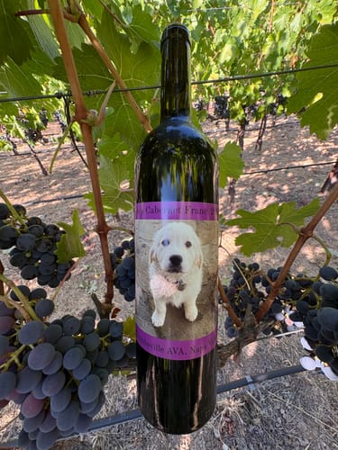 Customer photo review of Personalized Tall Wine Labels (Set of 12)