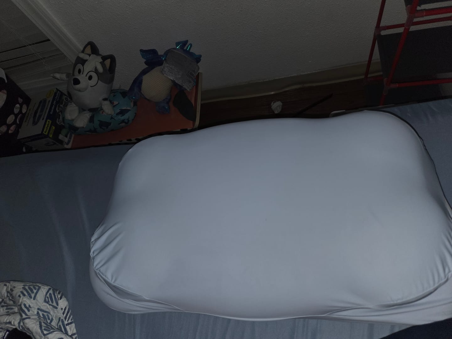 Customer photo review of CloudAlign™ Pillow