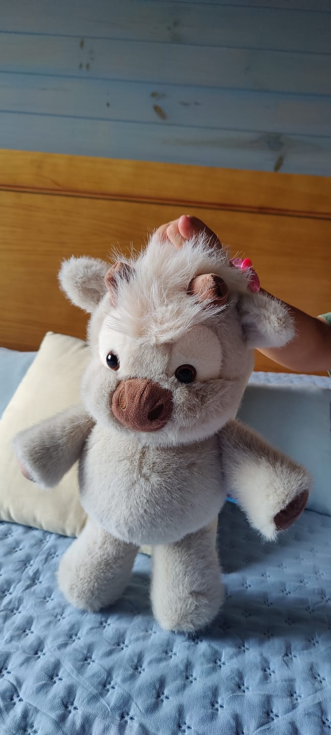 Customer photo review of MooMoo – La Vaquita Peluche que Corre