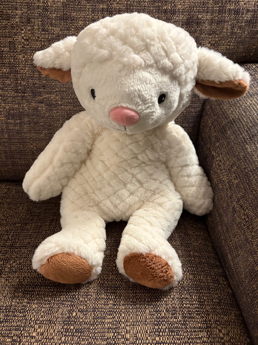 Customer photo review of Lotgenootje Schaap 2kg