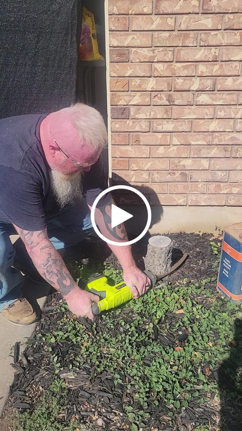 Customer video review of Tree Trimming/Wood Cutting – ProCut U-Groove Arc Edge Pruning Reciprocating Saw Blade