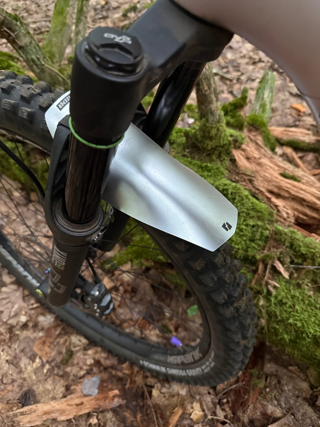 Customer photo review of Metallic Silver Fender