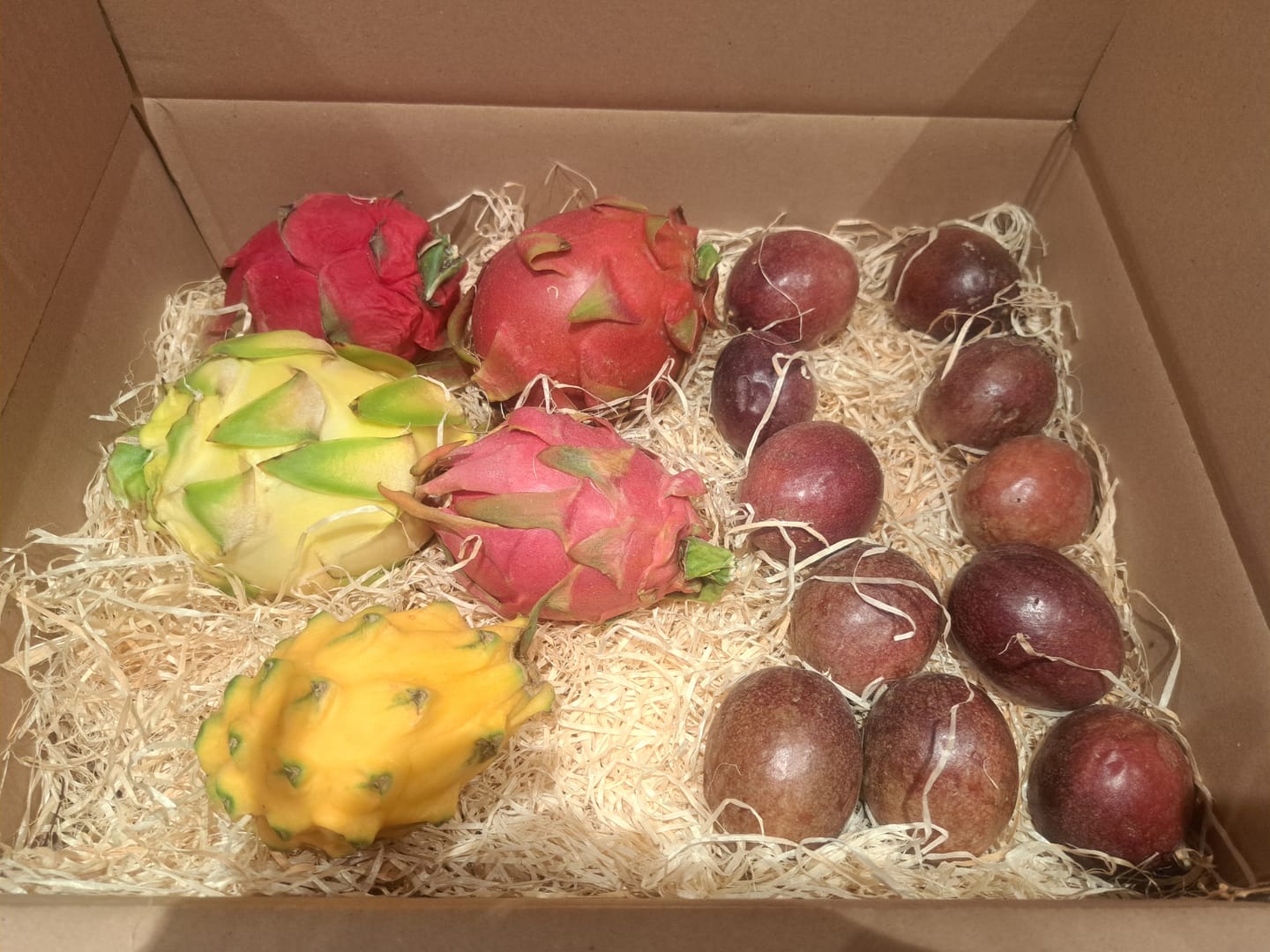 Customer photo review of Drachenfrucht rot Bio von Salvador
