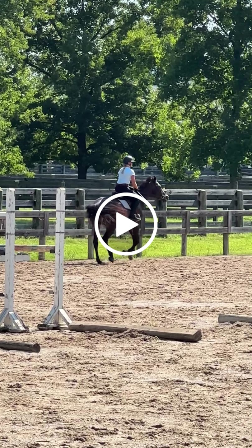 Customer video review of Contour Breech – Women's High-Rise Knee-Patch Riding Breeches