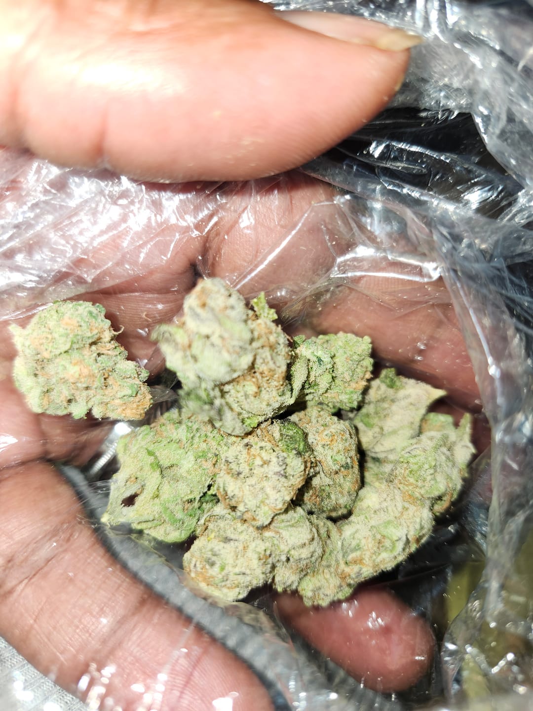 Customer photo review of Gary Payton - Minis - 14 Grams - Hybrid