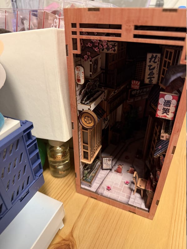Customer photo review of Alley Waiting for the Cat