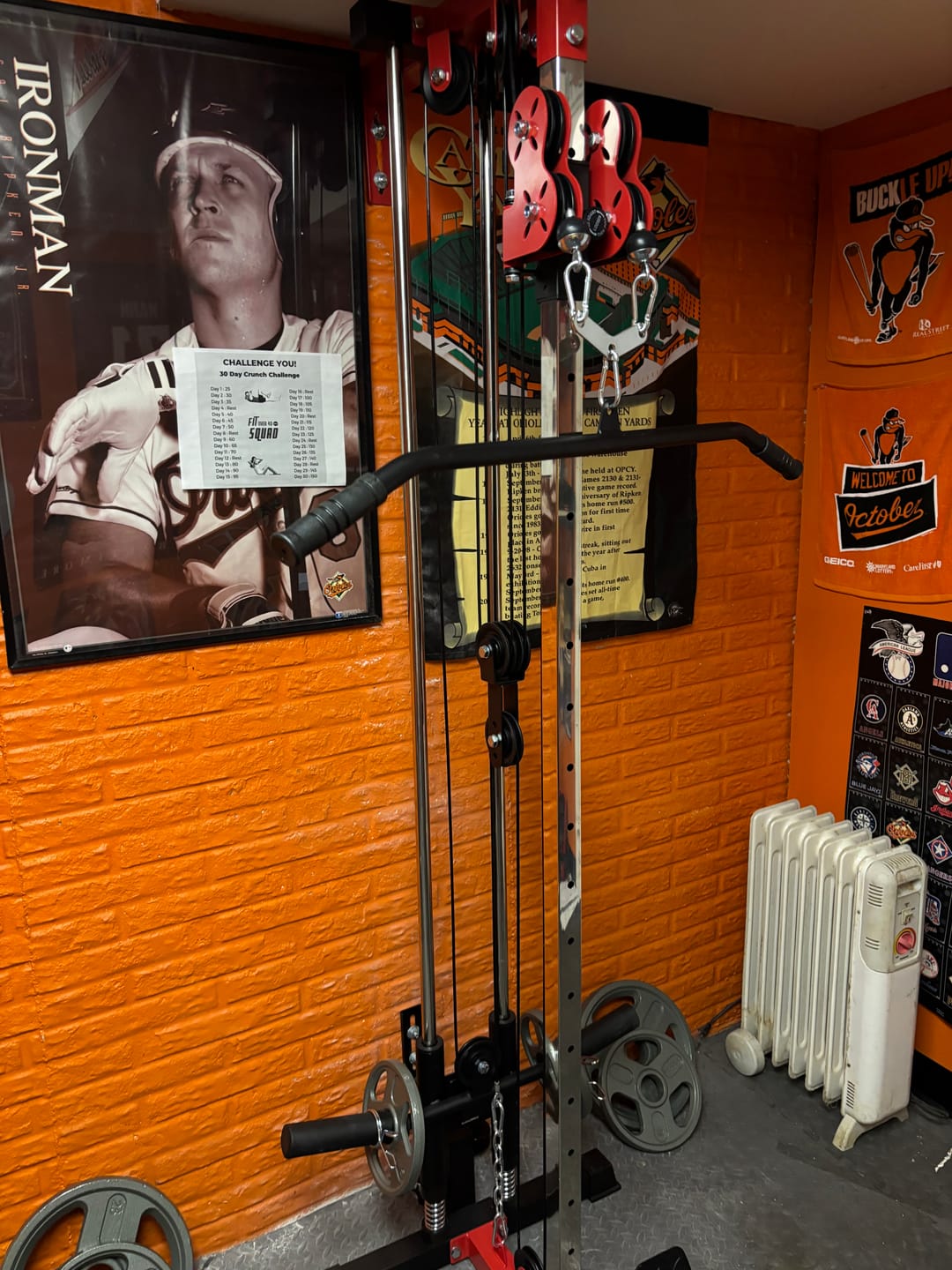 Customer photo review of Plate Loaded Pulley Tower G3