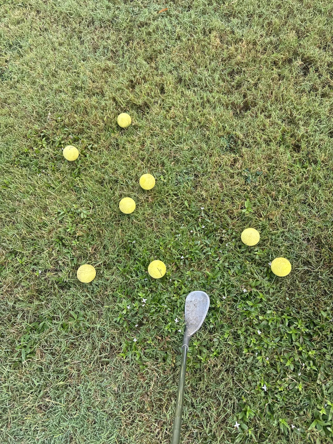 Customer photo review of 24 Ball Pack