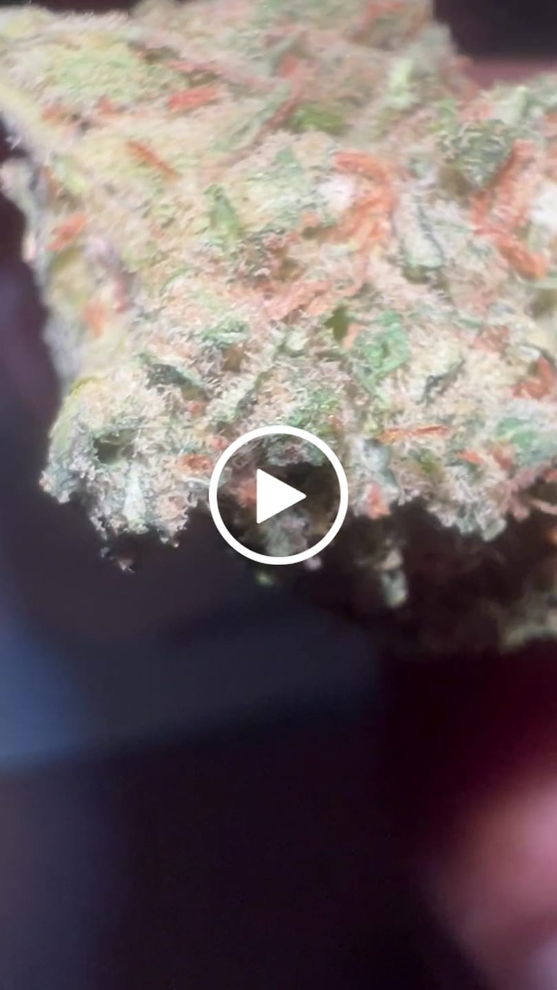 Customer video review of Indoor Super Lemon Haze - 14 Grams - Sativa