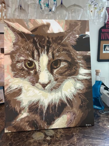 Customer's completed Custom Paint by Numbers Kit painting of a brown and white cat sitting on a counter.
