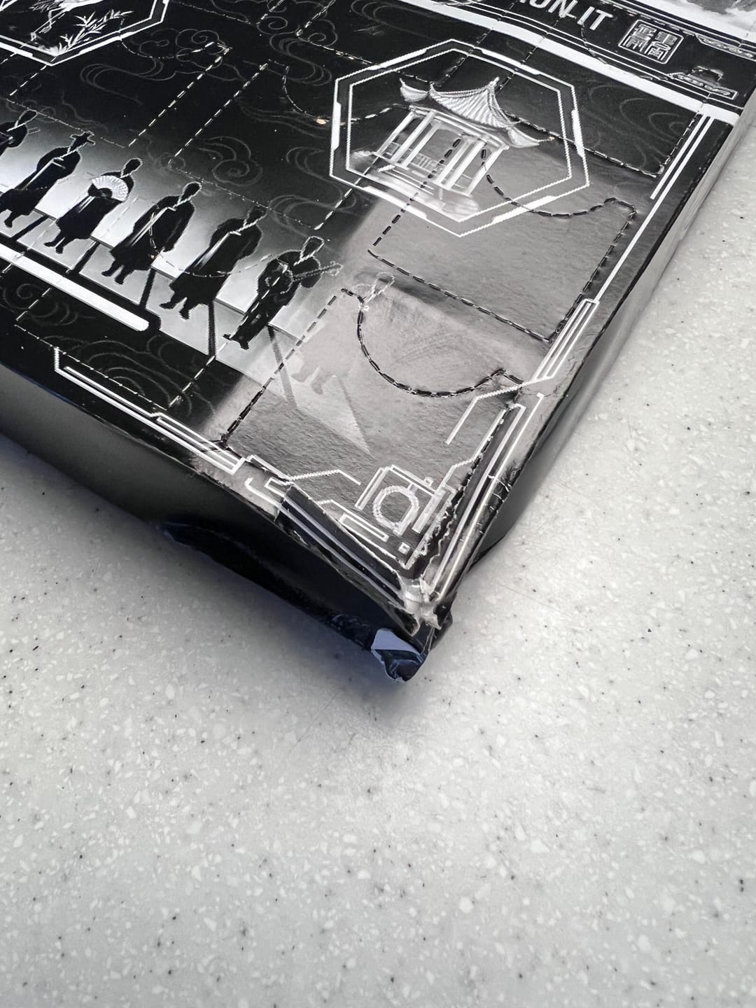 Customer photo review of Stray kids Run It World Tour 24 Day Of Coming Back Journey 2D Blind Box