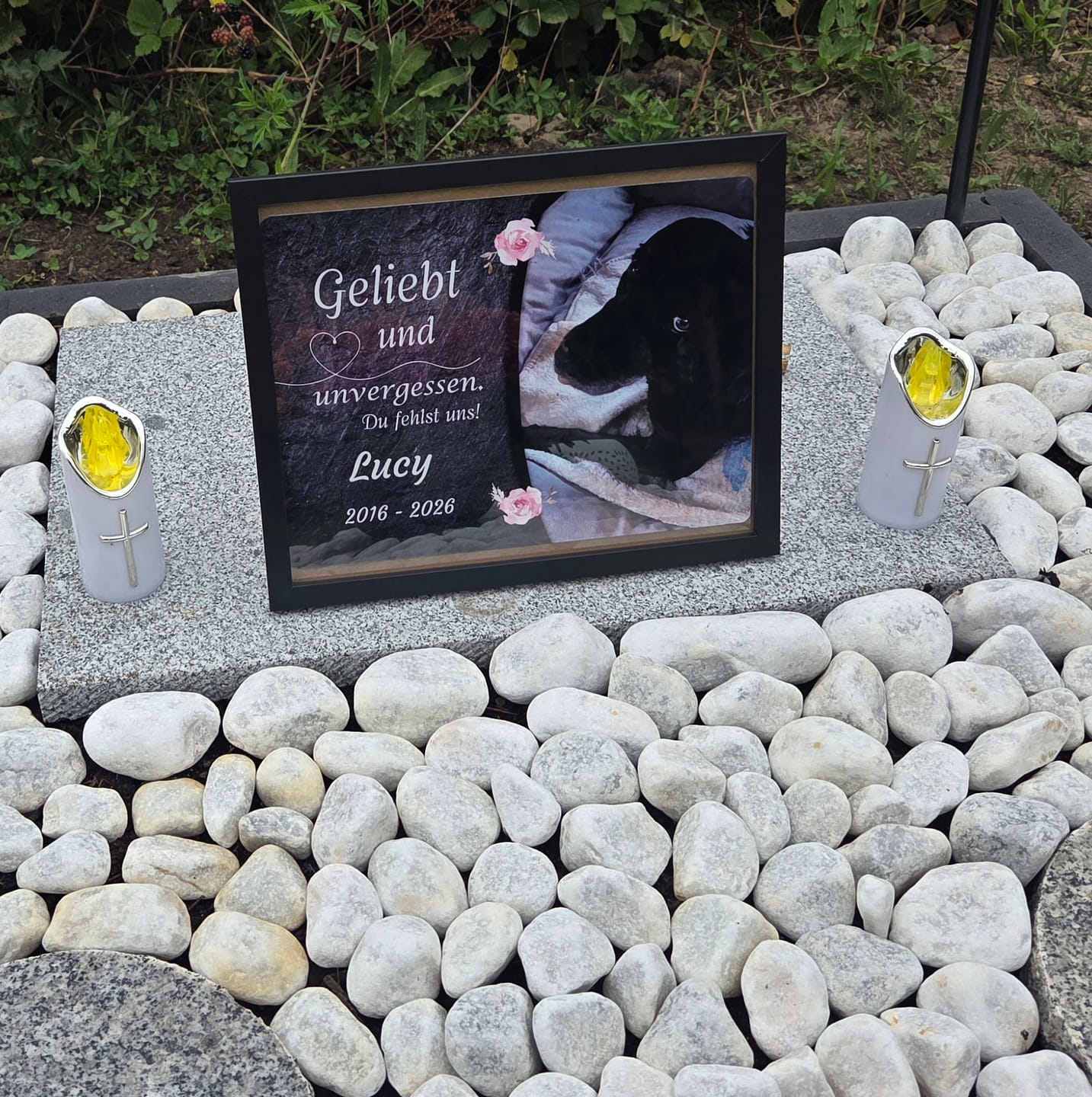 Customer photo review of Hunde Gedenktafel mit Foto & Spruch (UV- &  Wetterfest)