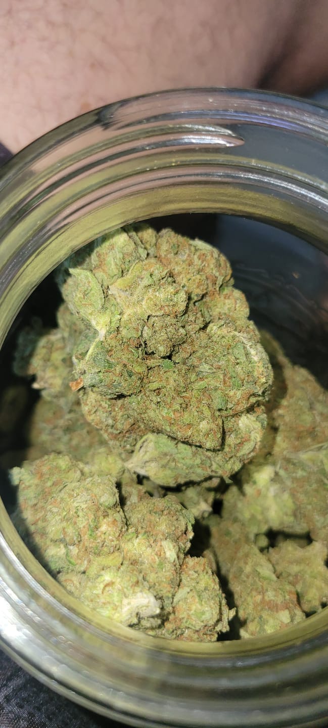 Customer photo review of Papaya Bomb Light Assist THCA