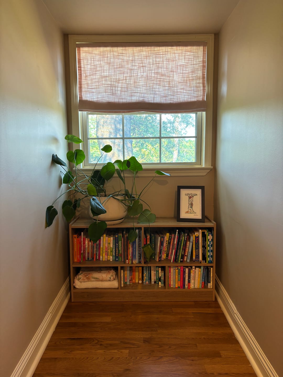 Customer photo review of Lucy Custom Roman Shades