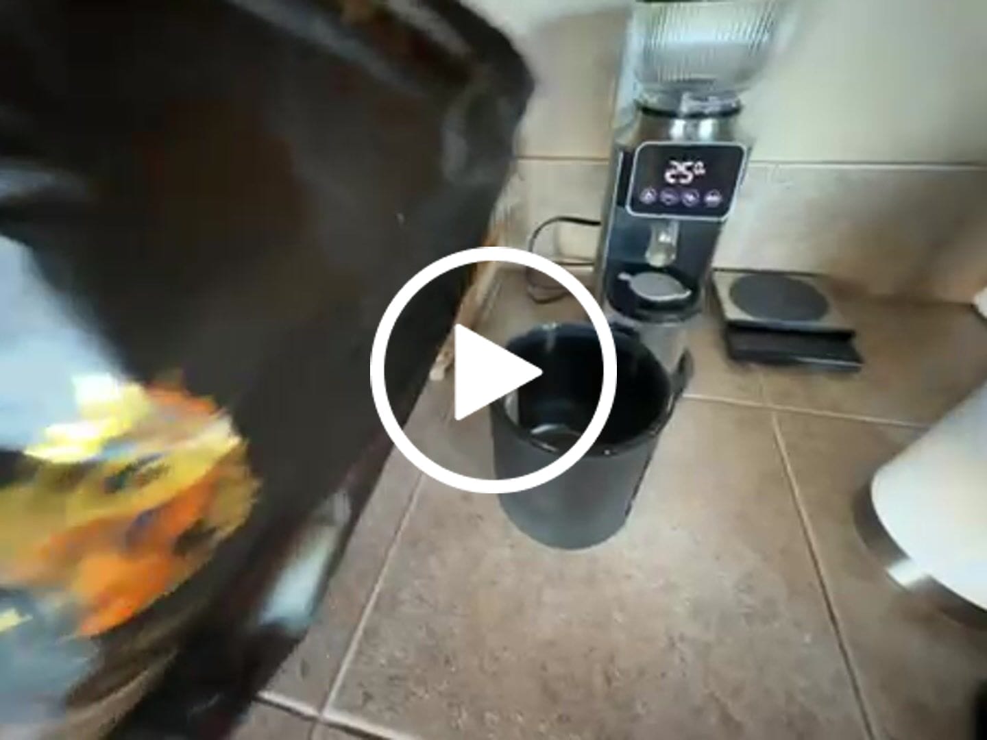 Customer video review of 5lb Bag