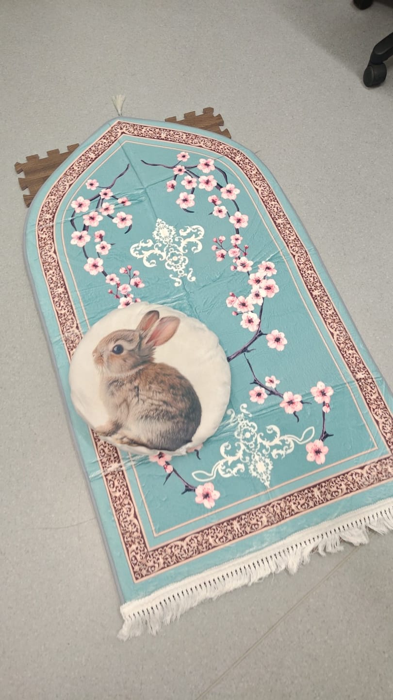 Customer photo review of Zehra Blossom Padded Prayer Mat