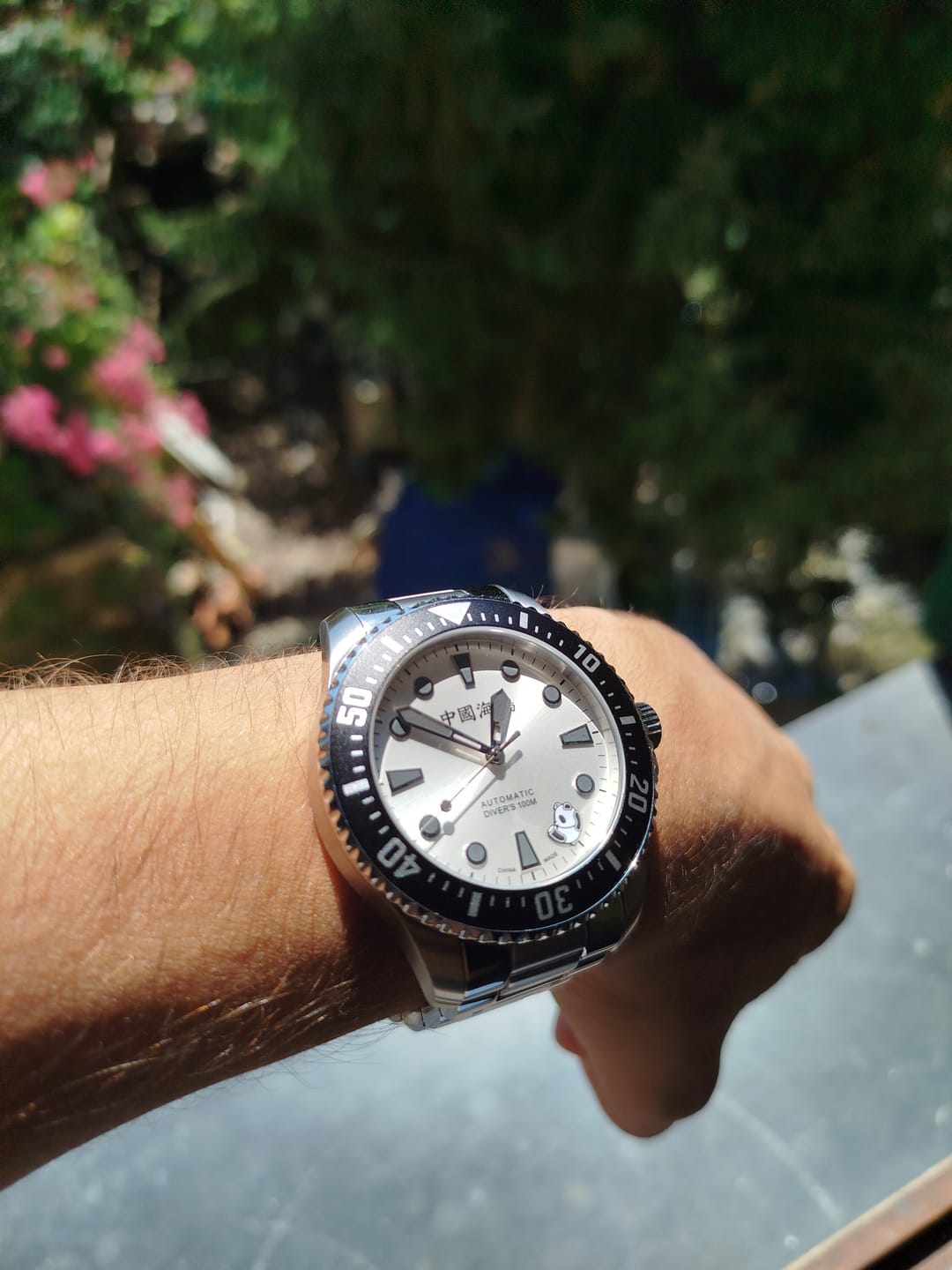 Customer photo review of Dive | Rolling Panda | Luminous | 100m Waterproof | 44mm