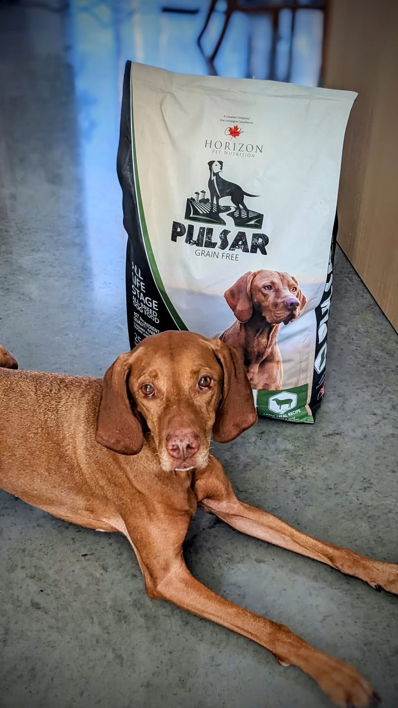 Customer photo review of Horizon Pulsar - Nourriture sans grains pour chien