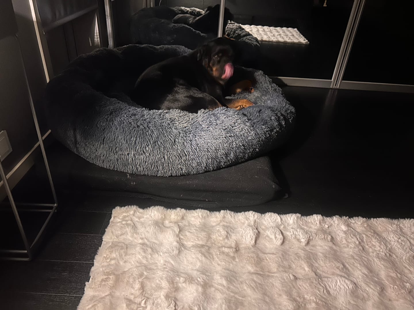 Customer photo review of CalmBed - Motverkar stress & hjälper mot ångest