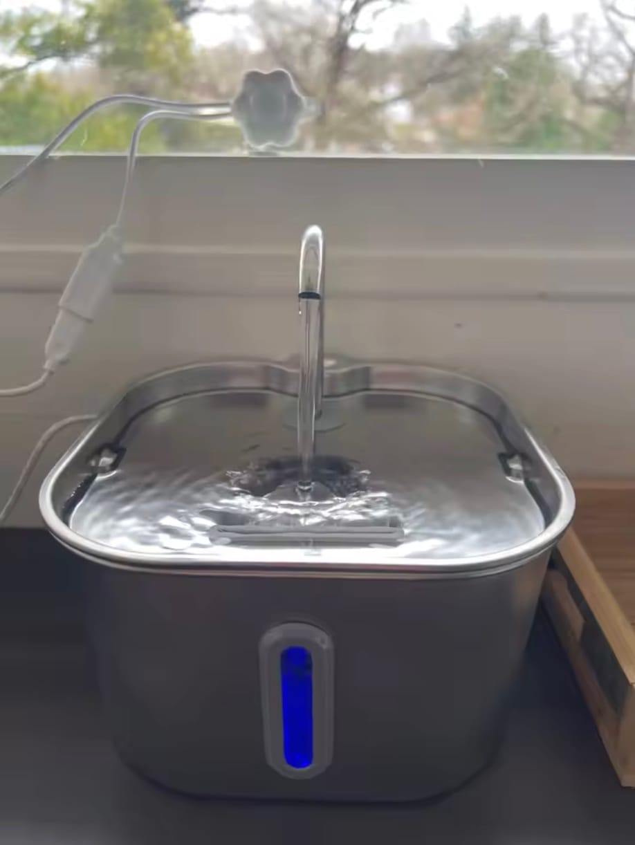 Customer photo review of PurFlow™ Cat Fountain