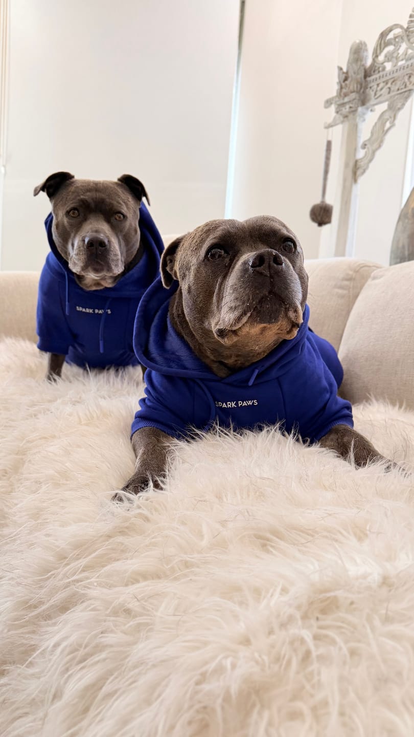 Customer photo review of Essential Dog Hoodie - Midnight Blue