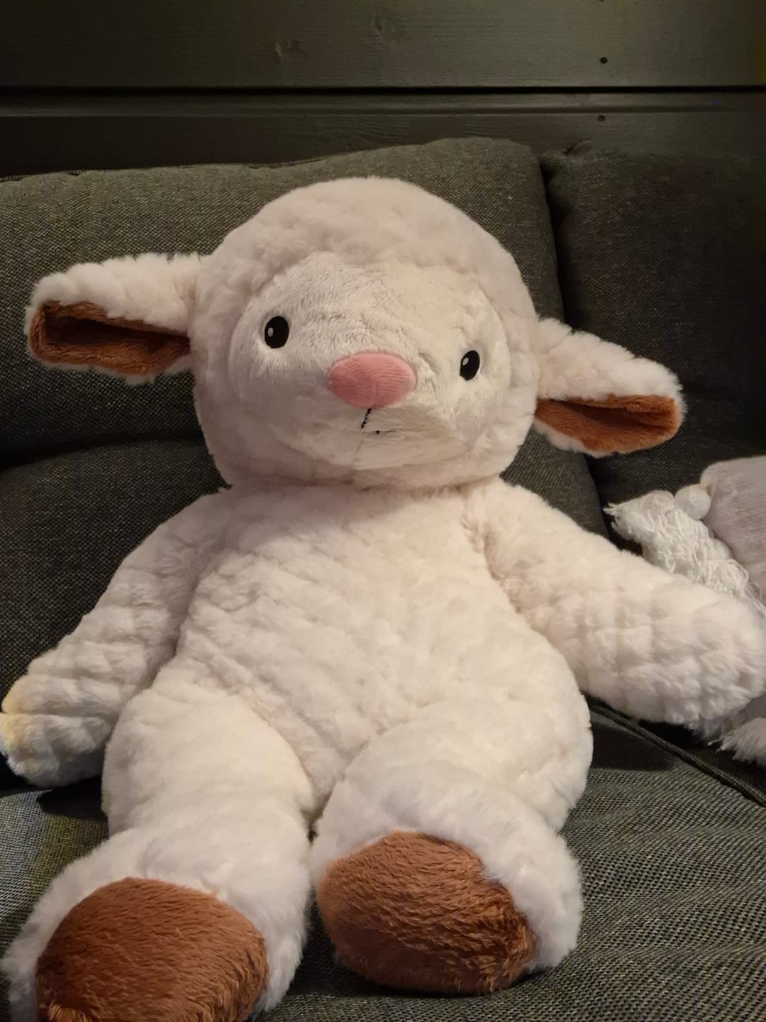 Customer photo review of Lotgenootje Schaap 2kg