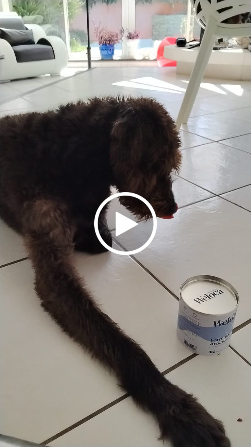 Customer video review of Complément articulations