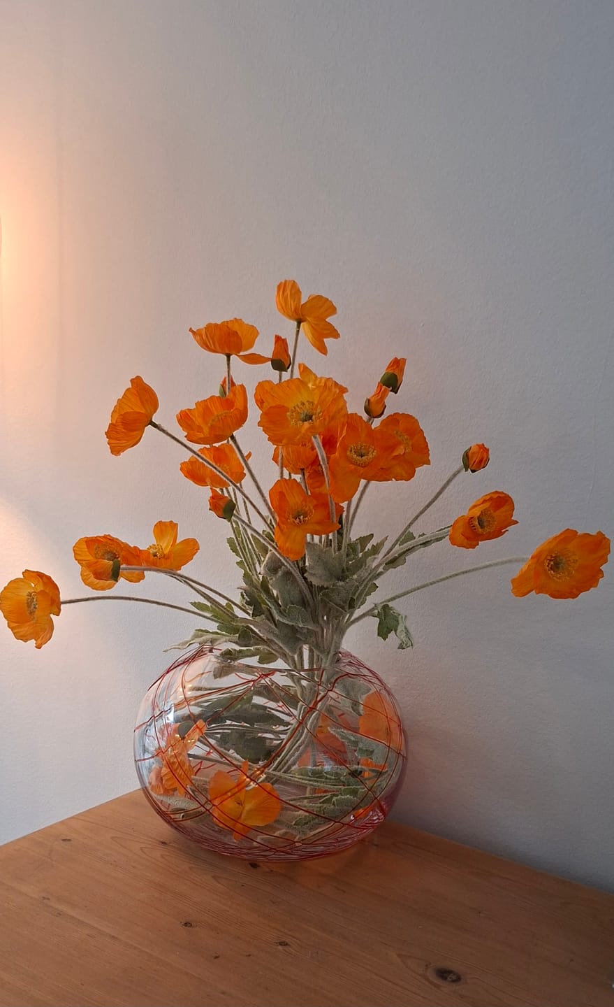 Customer photo review of Zijden Klaprozen - Oranje