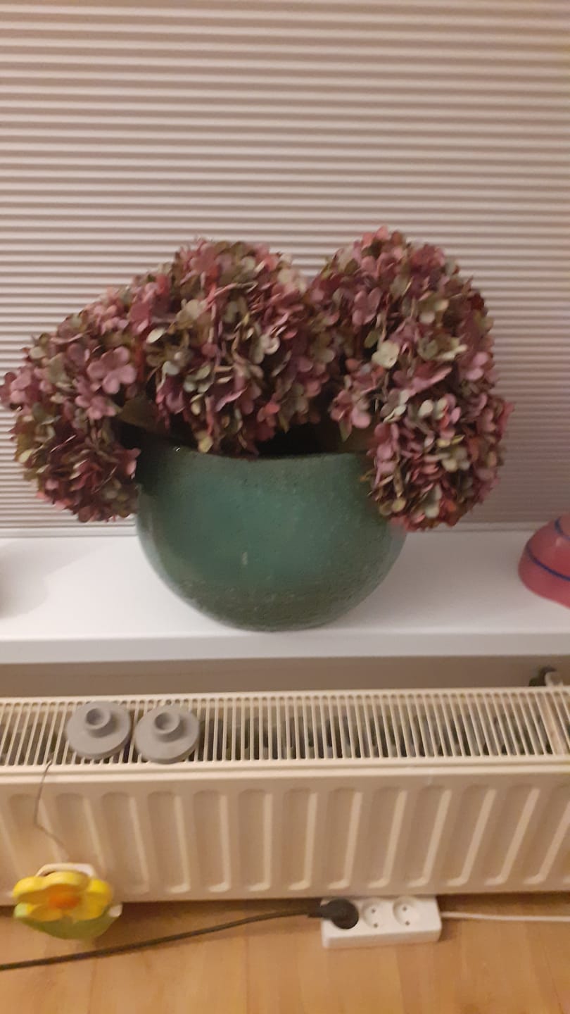 Customer photo review of Grote Zijden Hortensia - Paars