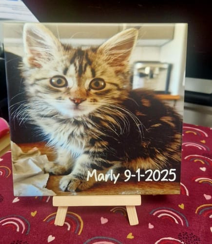 Customer photo review of Sublimatie tegel 15x15 cm wit glans – keramiek A+ kwaliteit