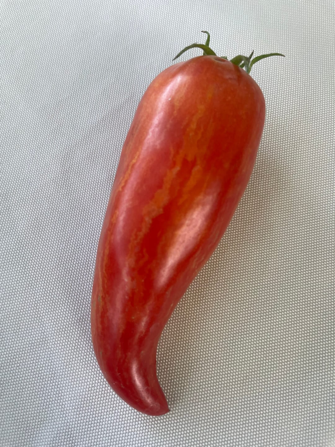 Customer photo review of Romatomate ‘Marmorossa’