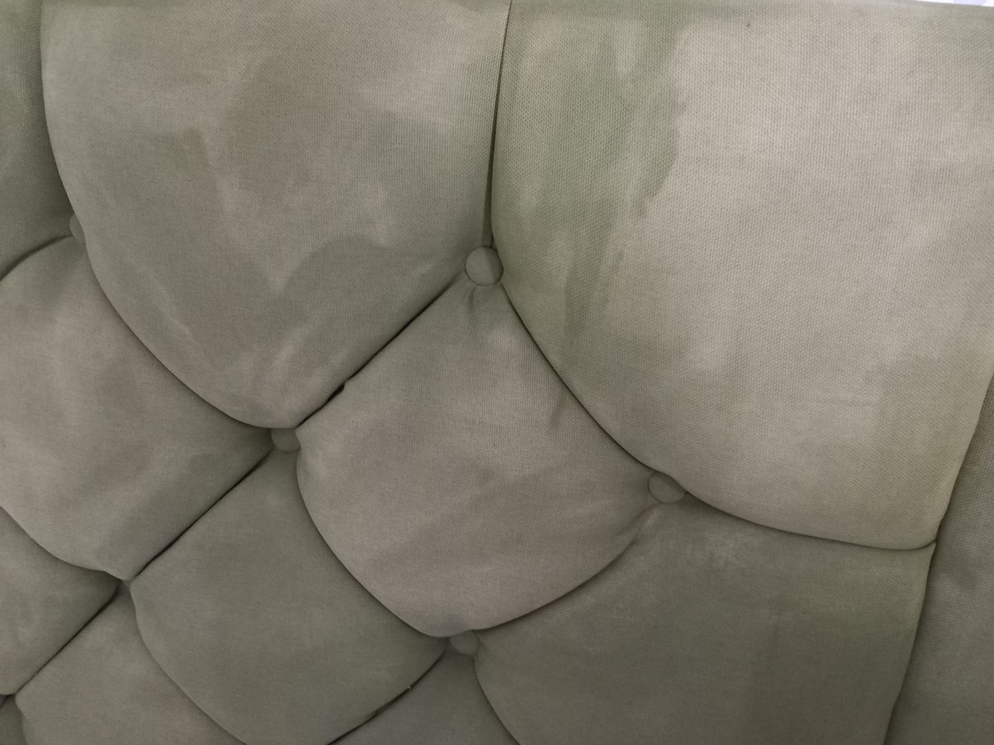 Customer photo review of Fabric Paint -- Olive