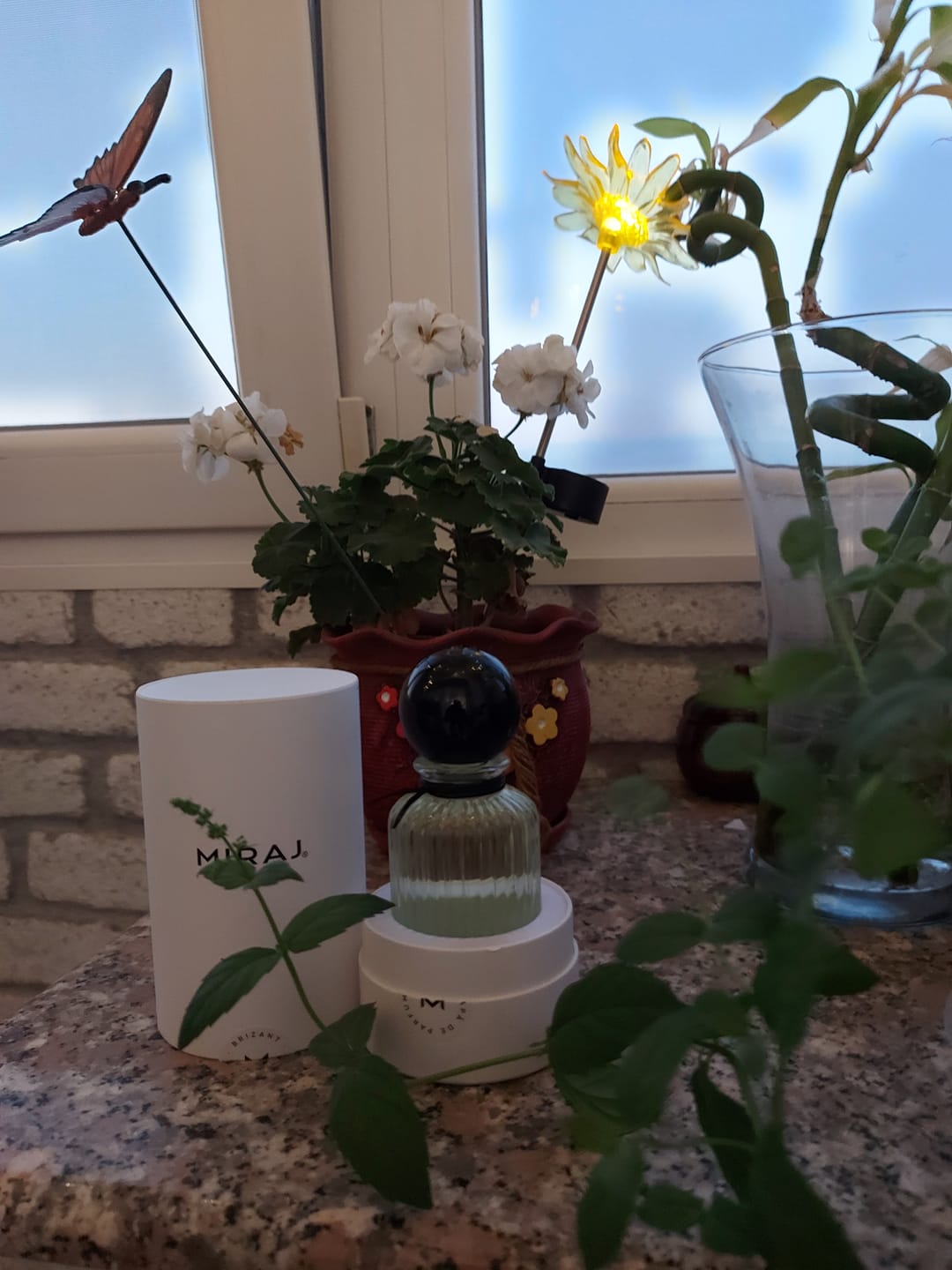 Customer photo review of Miraj Brizant