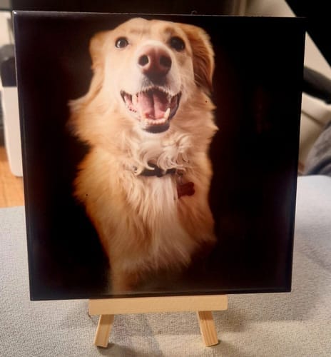 Customer photo review of Sublimatie tegel 15x15 cm wit glans – keramiek A+ kwaliteit