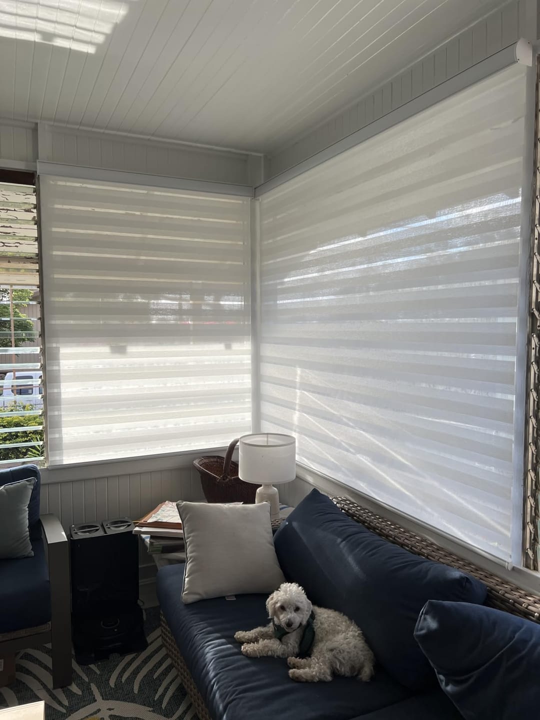 Customer photo review of Bringnox Motorized Zebra Roller Blinds 60% Blackout