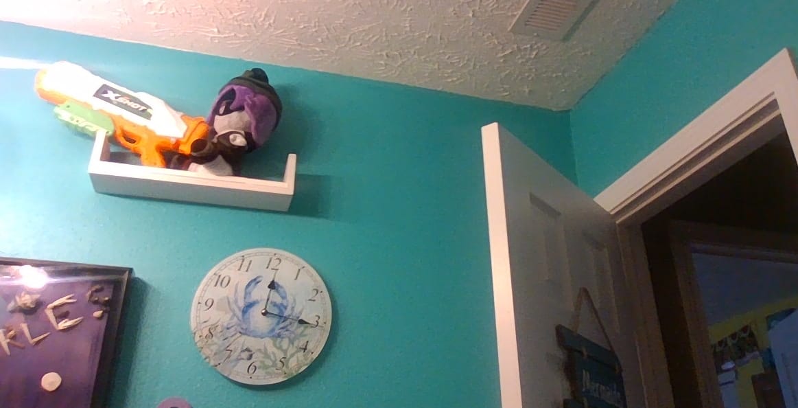 Customer photo review of Uzi Plush