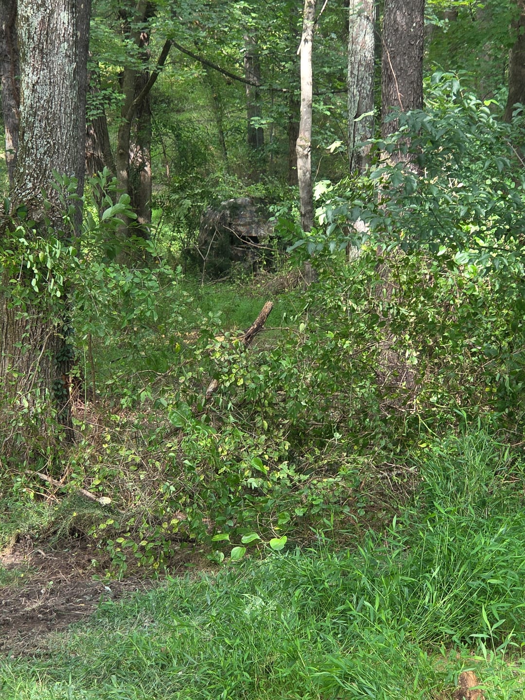 Customer photo review of VisX/VisMax See Through Hunting Blind, Pop Up Ground Deer Blind