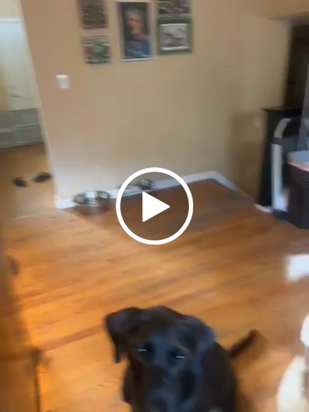 Customer video review of Whole Grain Original Base Mix